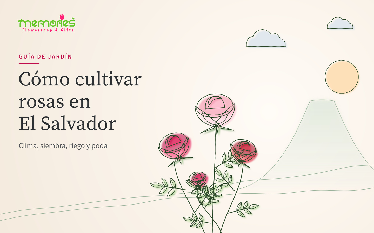 Ilustración en línea y acuarela de rosas rosadas y rojas de tallo largo junto a un volcán con nubes y sol, con el título Cómo cultivar rosas en El Salvador y el logo de Memories Flowershop